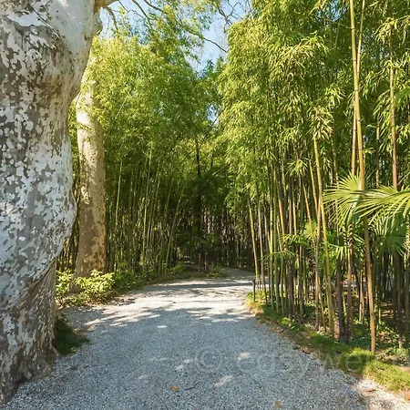 Easywelcome Bambusae - Trotti Lake View *